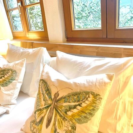 Ferienwohnung Diana Sexau エクステリア 写真